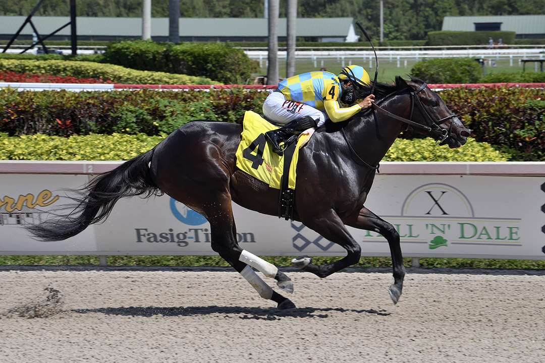Wora wins a March 20 maiden race at Gulfstream Park