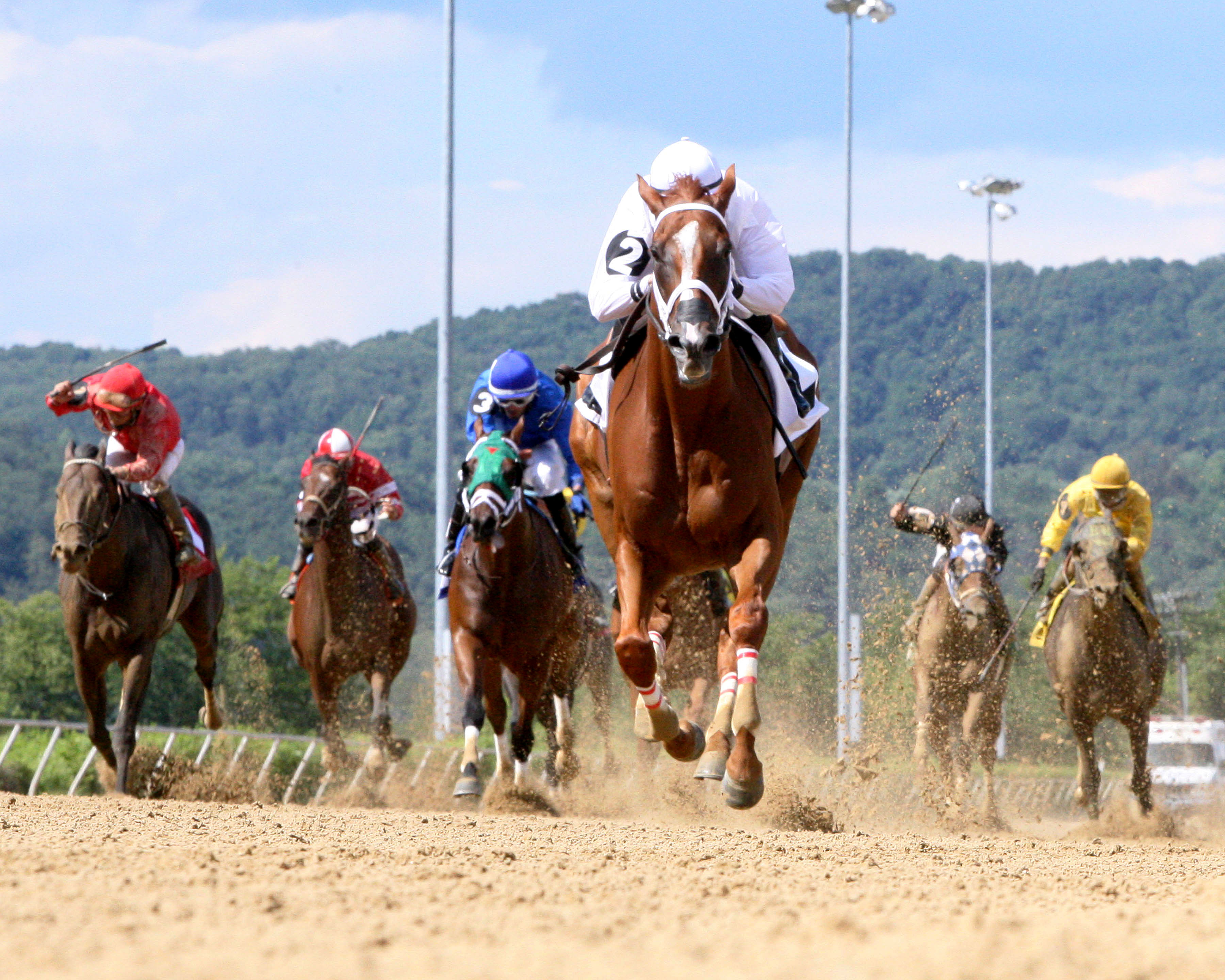 Work All Week wins the Sen. Robert C. Byrd Memorial
