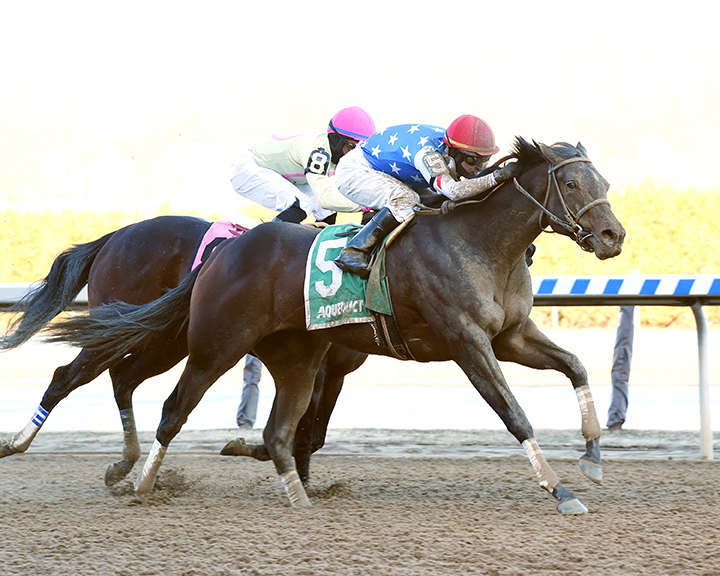 Workaholic wins 2019 Cicada Stakes