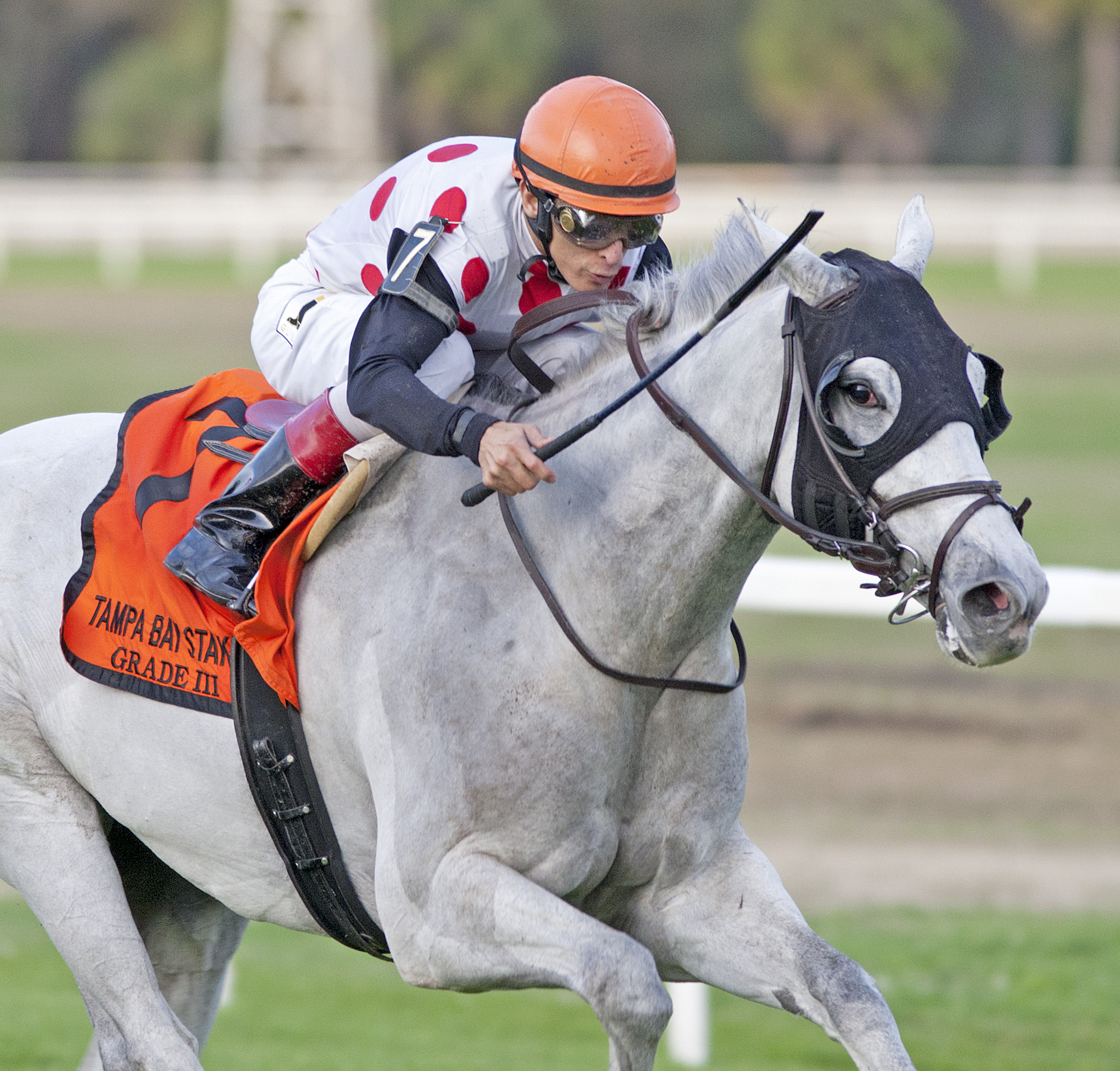 World Approval wins 2018 Tampa Bay Stakes