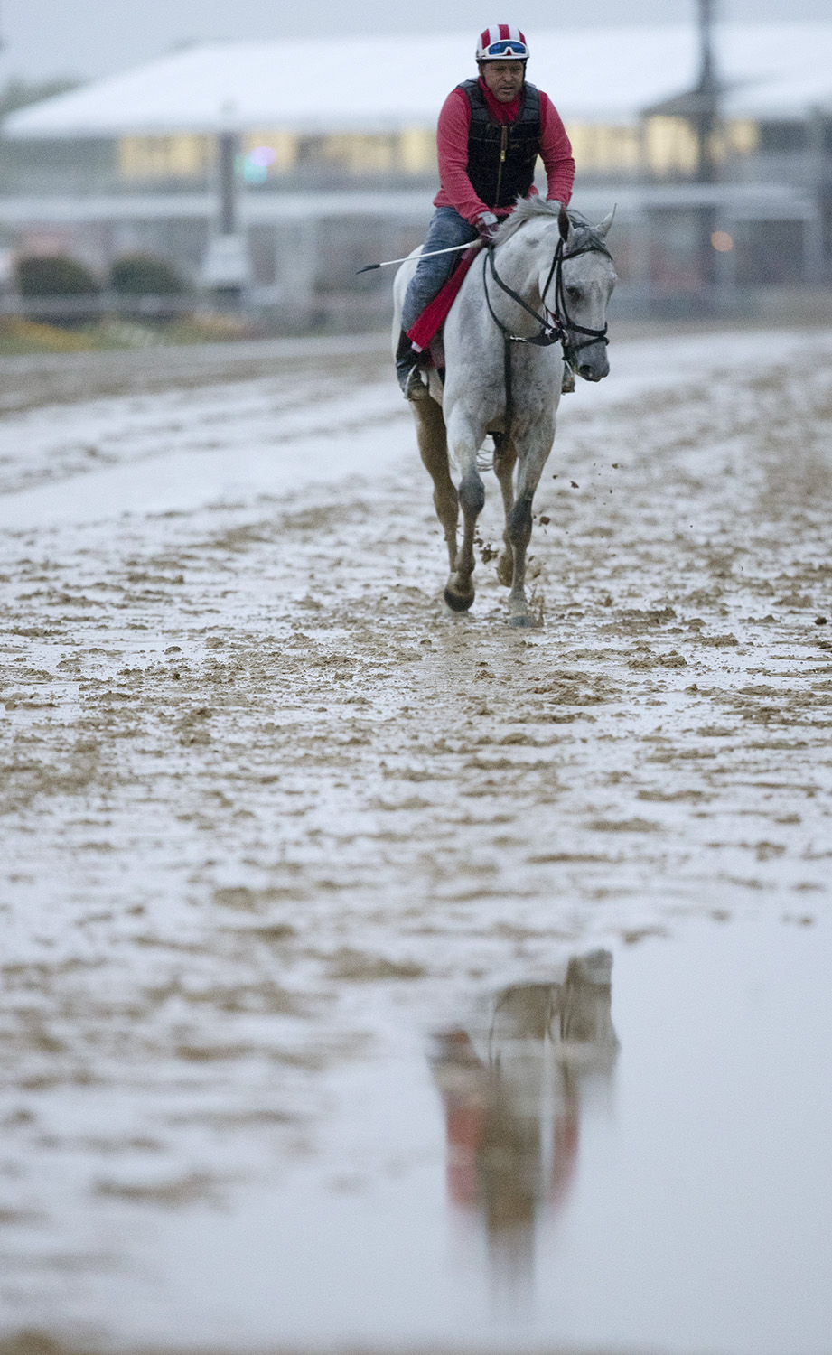 World Approval at Pimlico on May 17