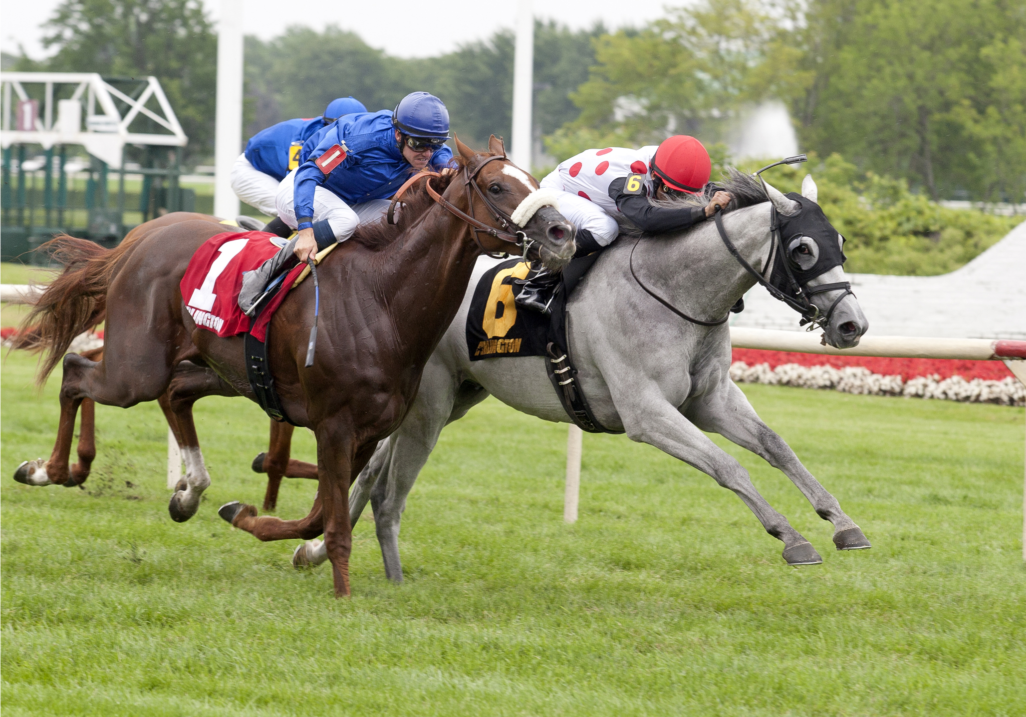 World Approval wins the Arlington Derby