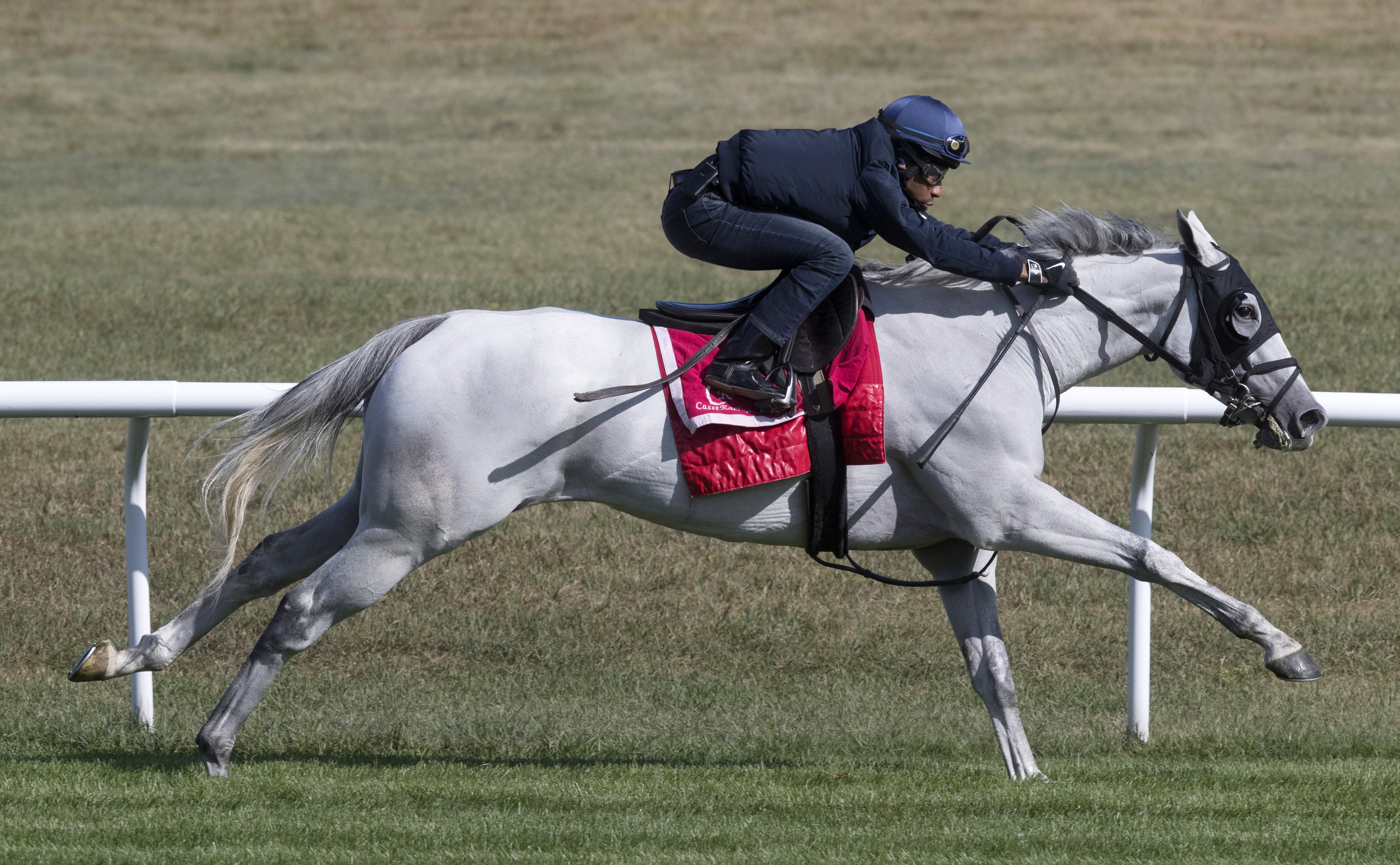 World Approval trains at Saratoga on Sept. 1