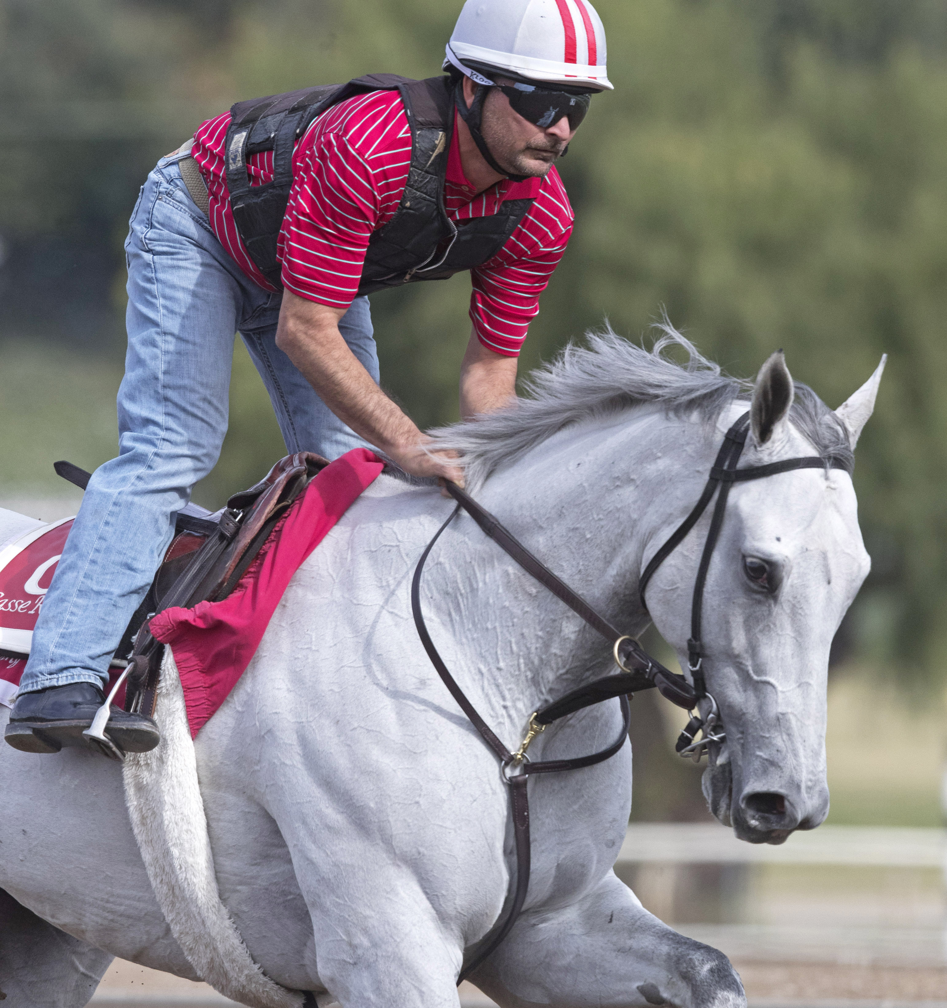 World Approval trains at Santa Anita on March 8