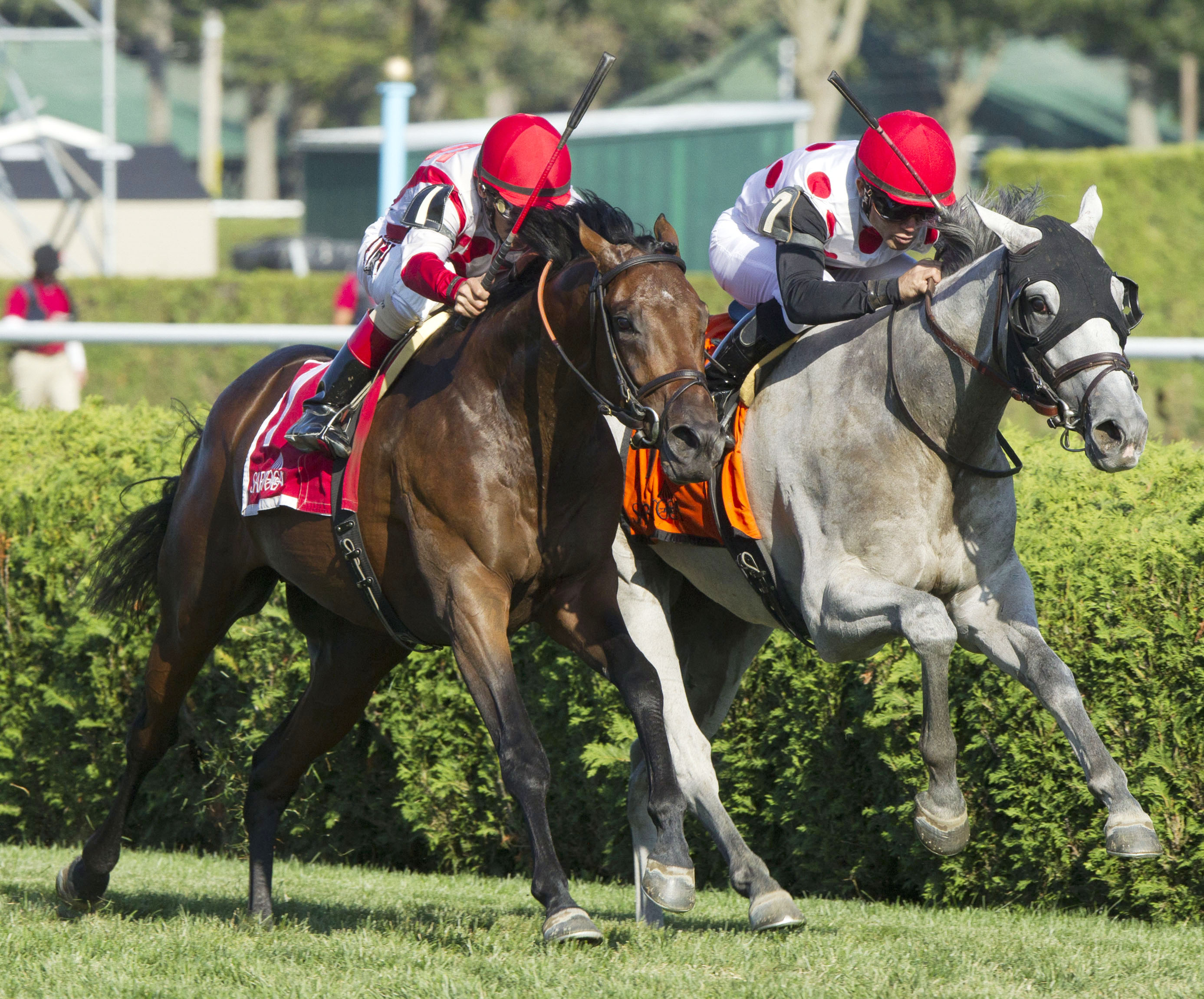 Money Multiplier finishes second in the Sarnac