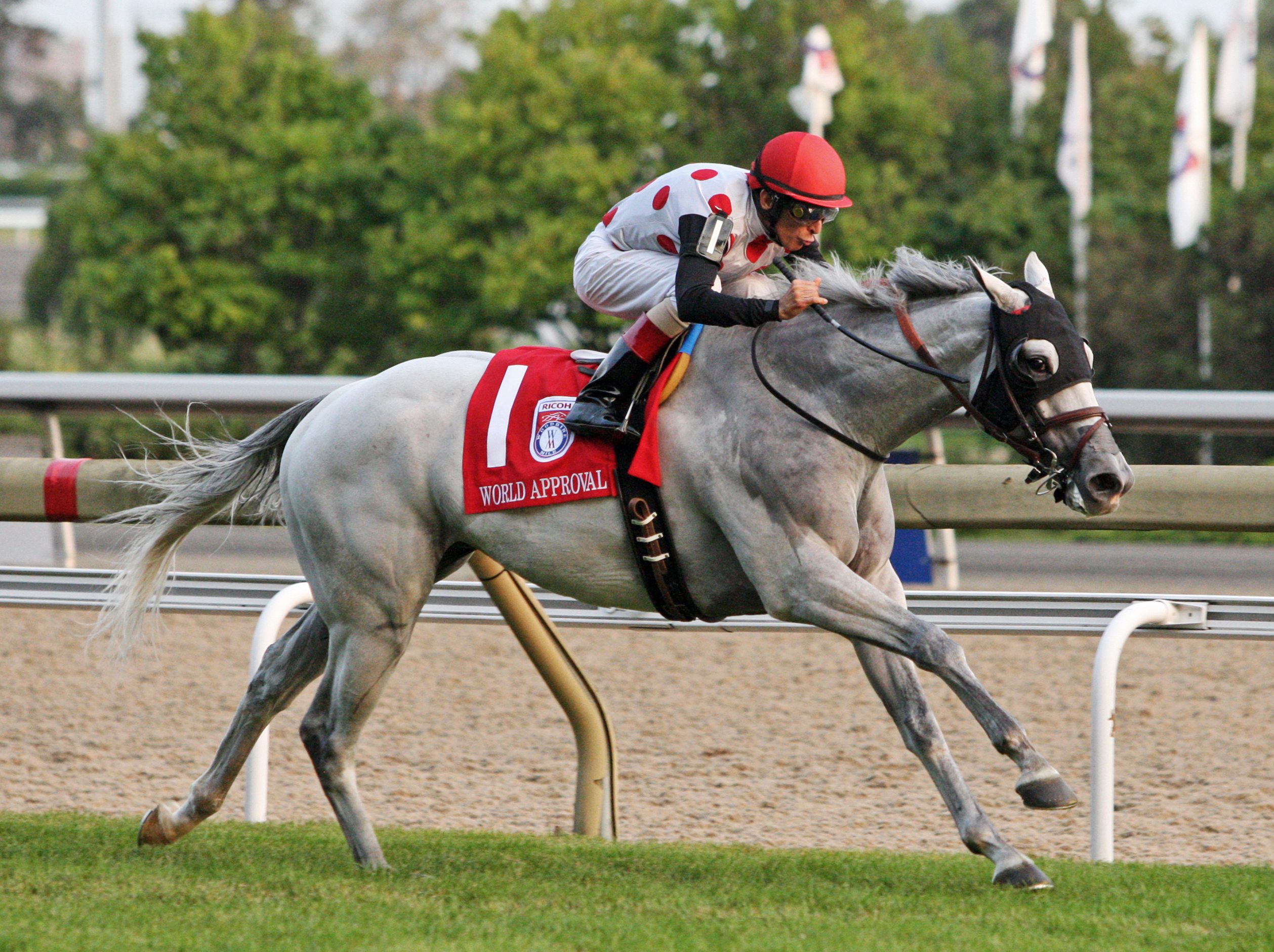 World Approval wins the 2017 Woodbine Mile
