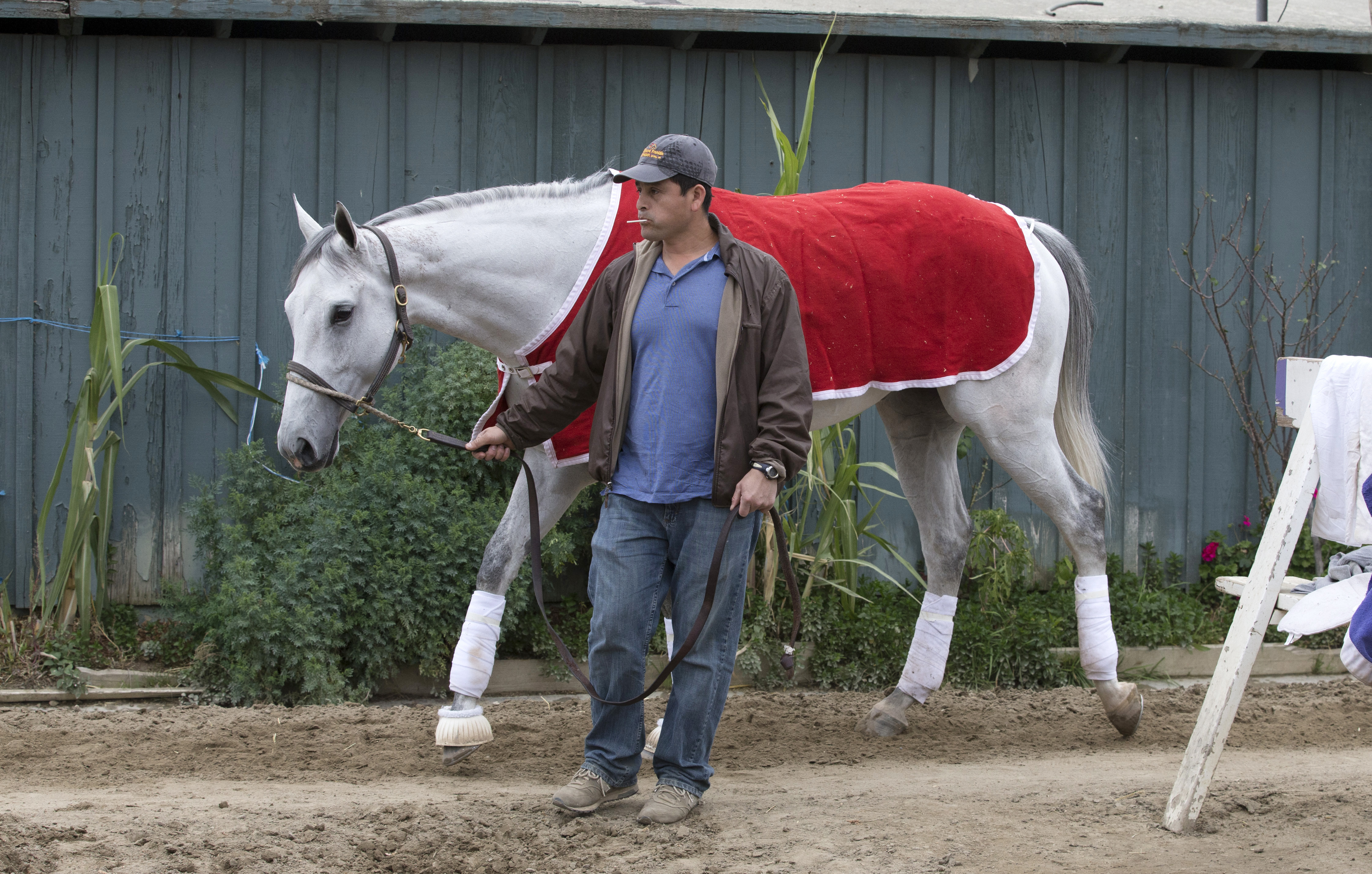 World Approval at Santa Anita on March 7