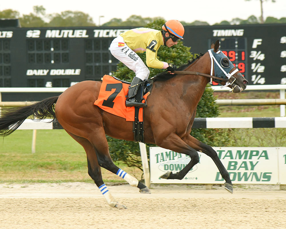 World of Trouble wins the 2018 Pasco Stakes