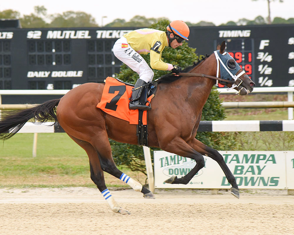 World of Trouble wins the Pasco Stakes
