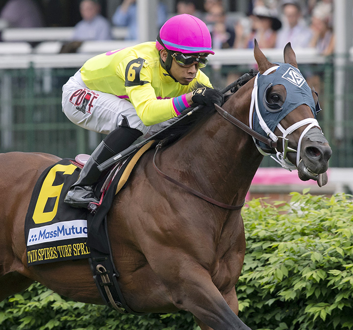 World of Trouble wins the 2019 Twin Spires Turf Sprint