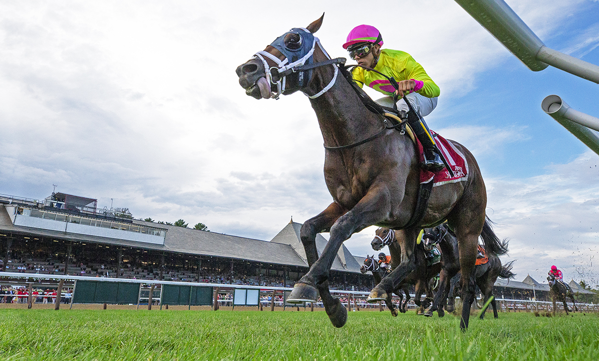World of Trouble wins the 2018 Quick Call Stakes