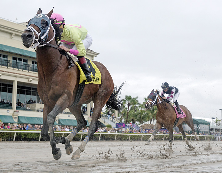 World of Trouble wins the 2019 Gulfstream Park Turf Sprint