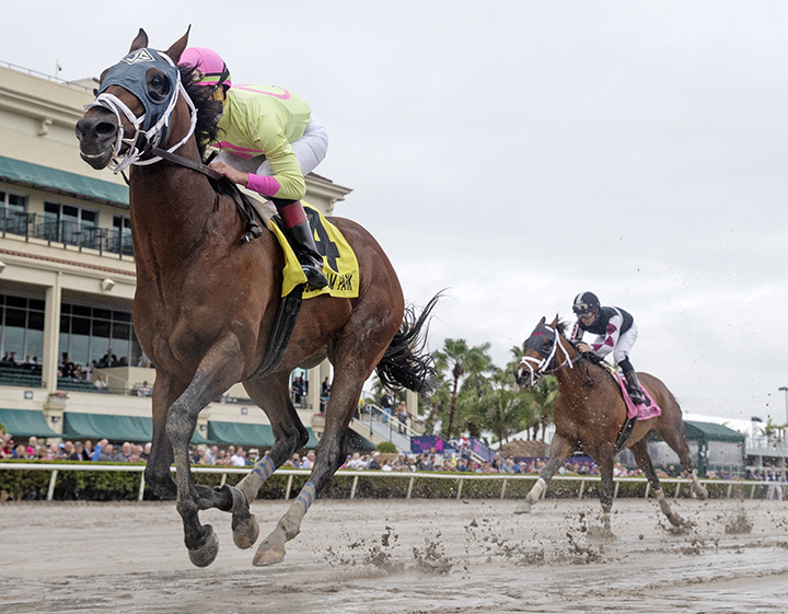 World of Trouble wins the 2019 Gulfstream Park Turf Sprint