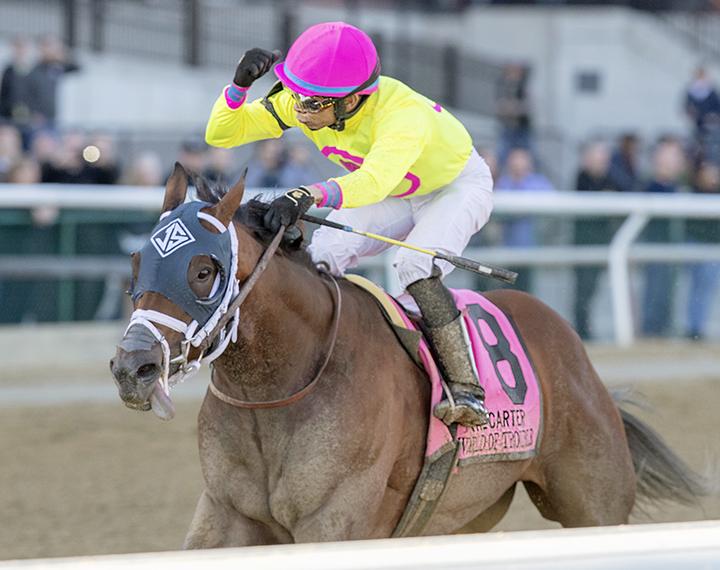 World of Trouble wins the 2019 Carter Handicap