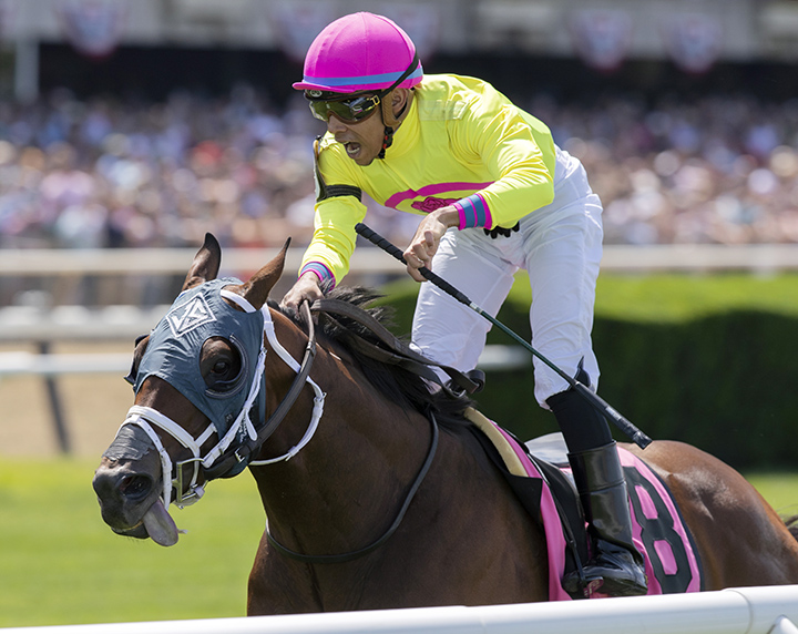World of Trouble wins the 2019 Jaipur Stakes at Belmont Park