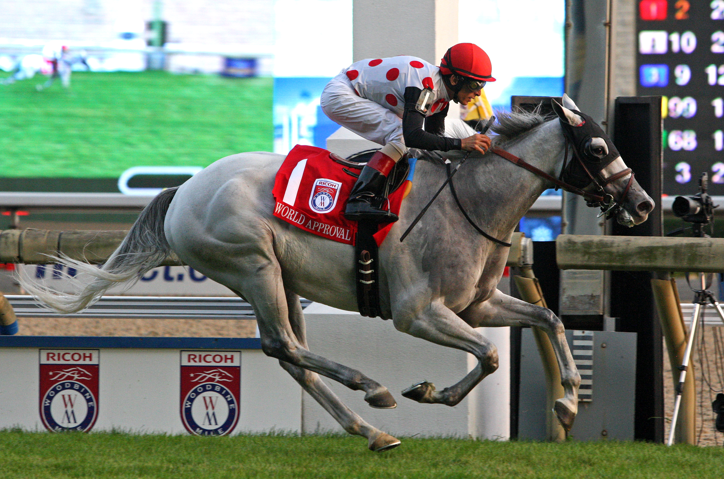 World Approval wins the 2017 Woodbine Mile