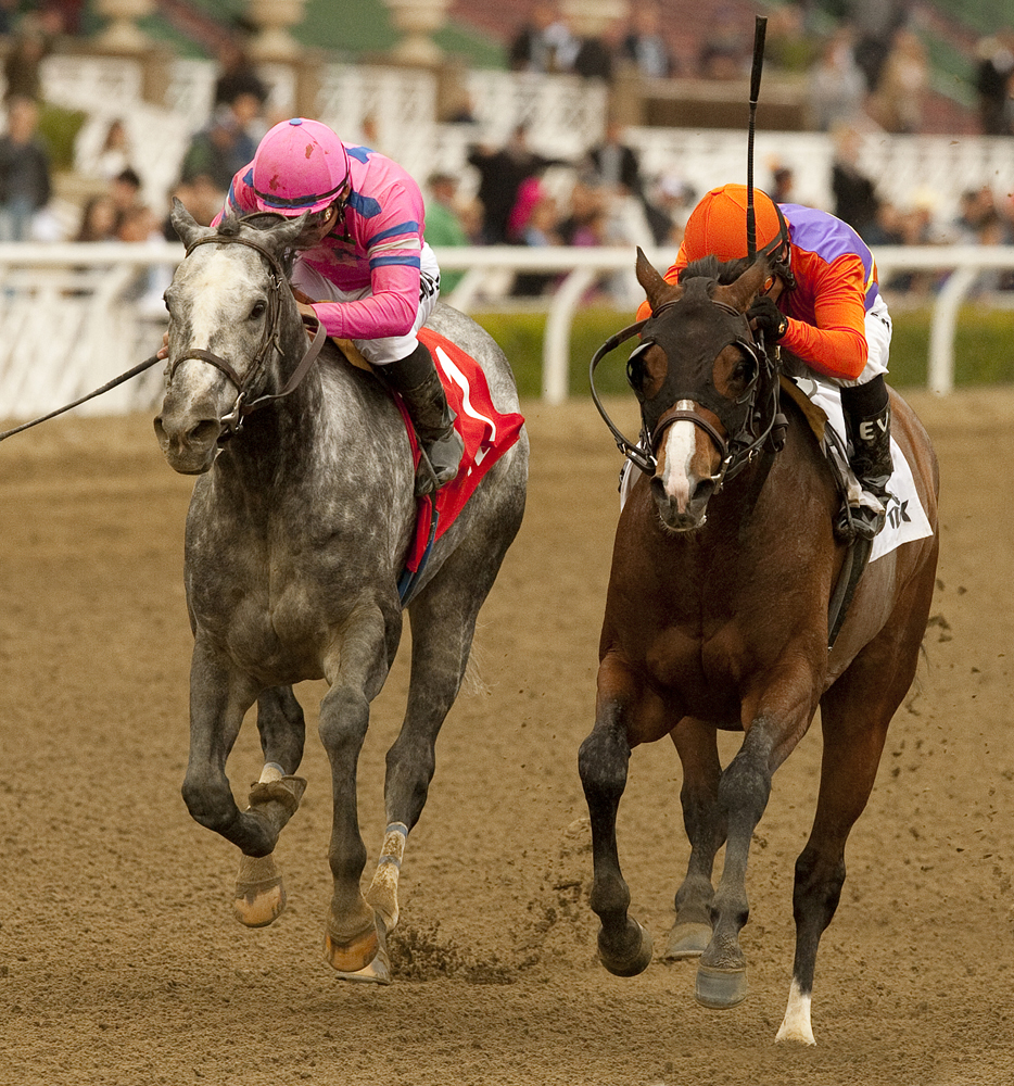 Honour the Deputy and Worth Repeating/Tokyo City Cup