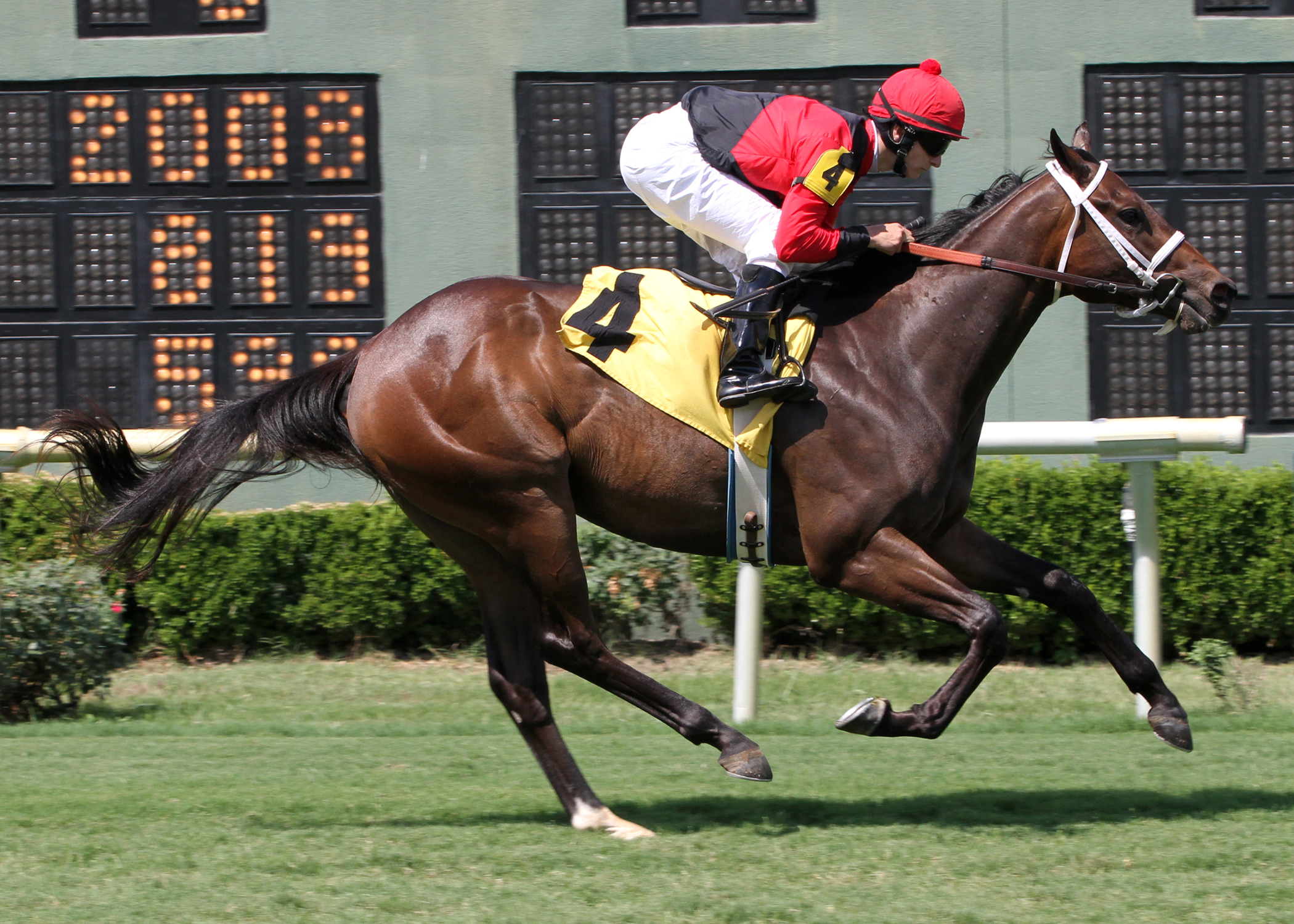 Worthington/Minstrel
