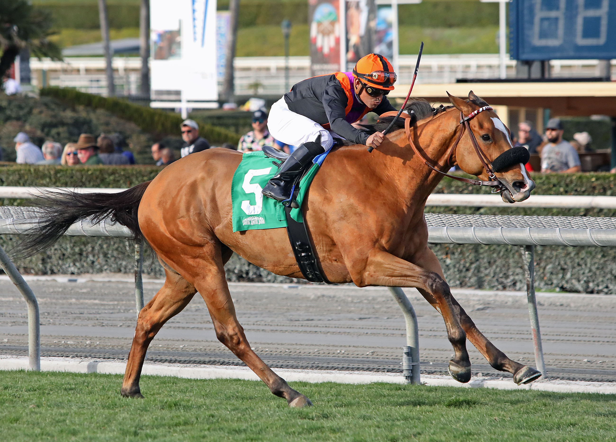Wound Tight wins the 2020 Unusual Heat Turf Classic