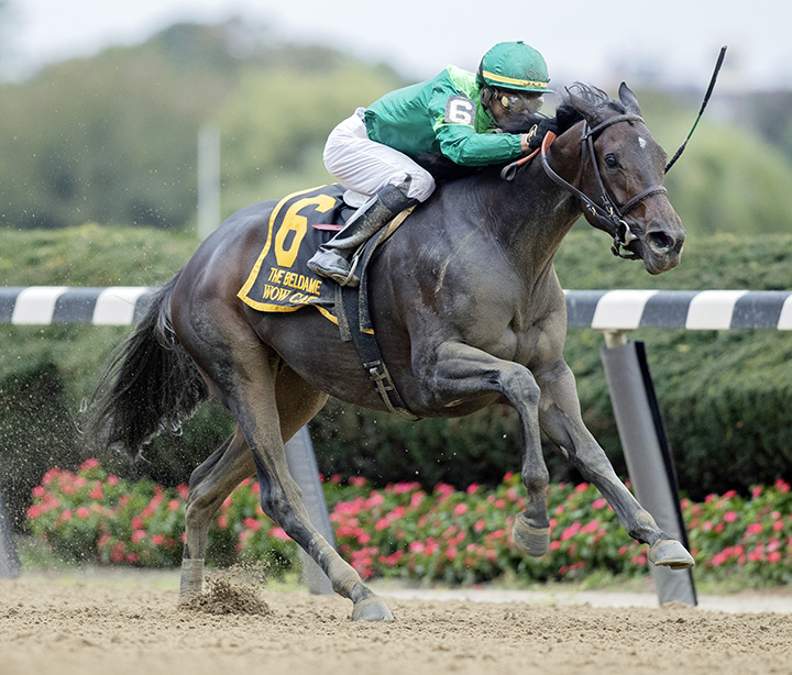 Wow Cat wins the 2018 Beldame