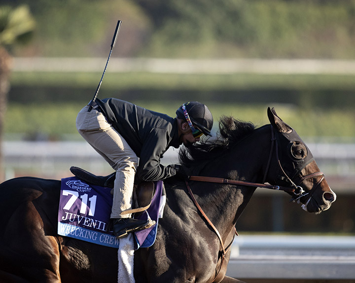 Wrecking Crew trains for the Breeders Cup at Santa Anita Park on Oct. 29