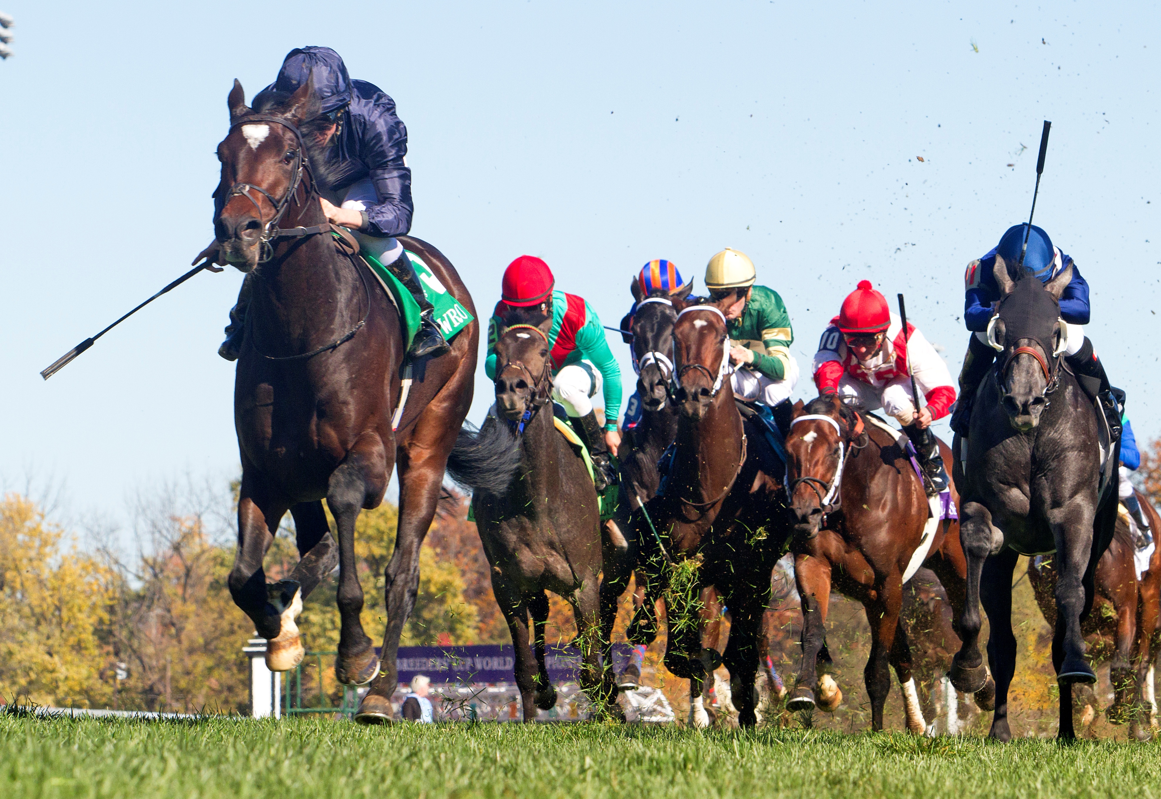 Wrote/BC Juvenile Turf