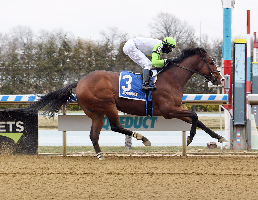 Wudda U Think Now wins a Jan. 16 allowance at Aqueduct