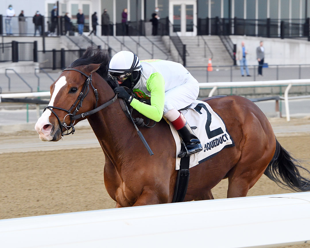 Wudda U Think Now wins the 2022 Hollie Hughes Stakes at Aqueduct