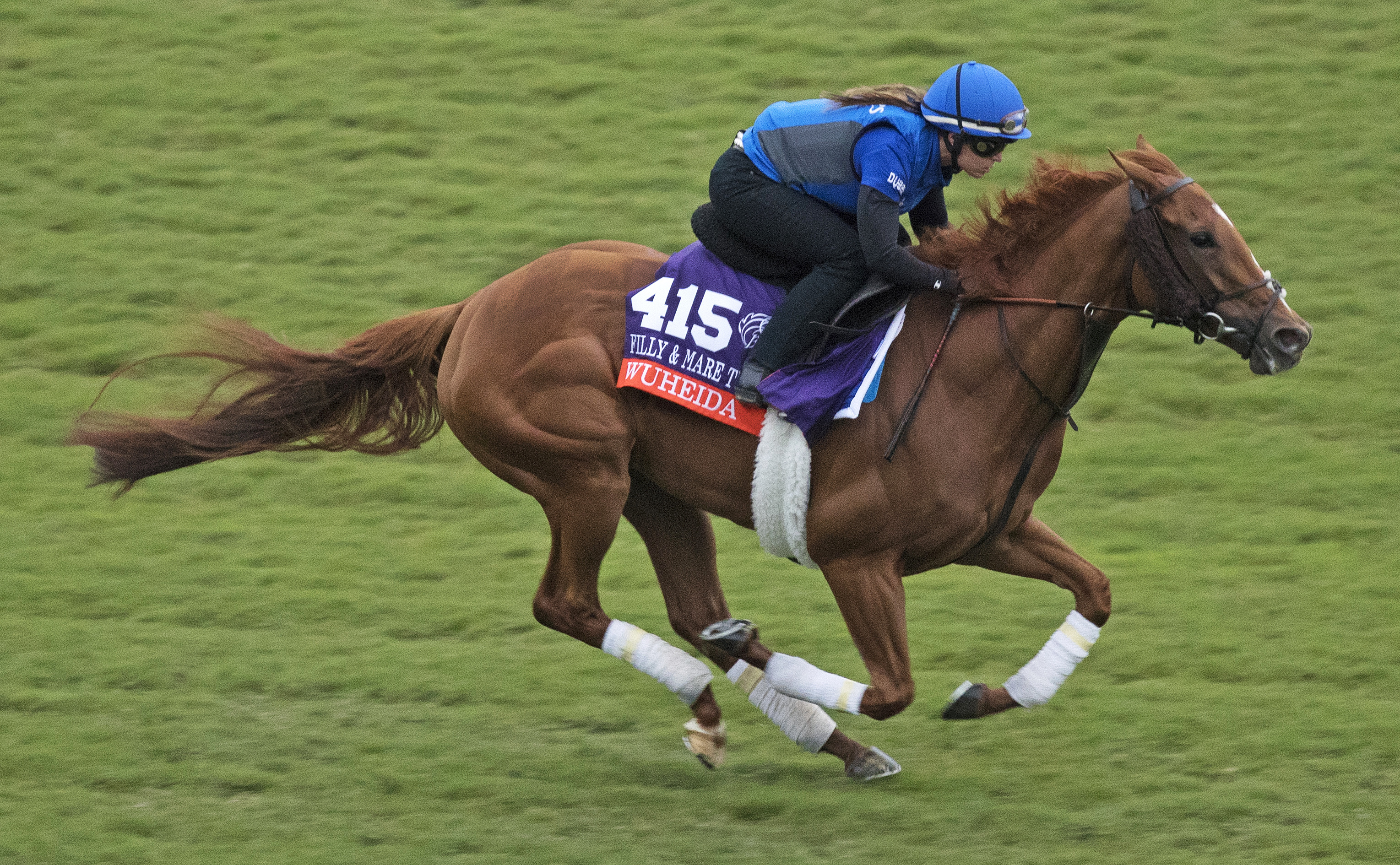 Wuheida trains at Del Mar on Oct 31
