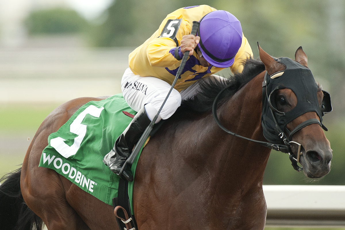 Wyatt's Town wins the 2018 King Corrie Stakes