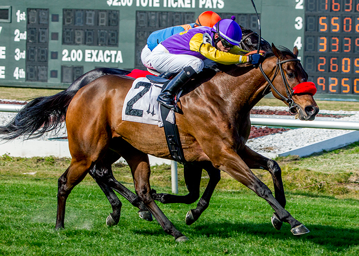 Wynn Time wins the 2018 Bonapaw Handicap at Fair Grounds