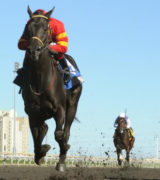 Black-Eyed Susan at Pimlico lures 7 fillies
