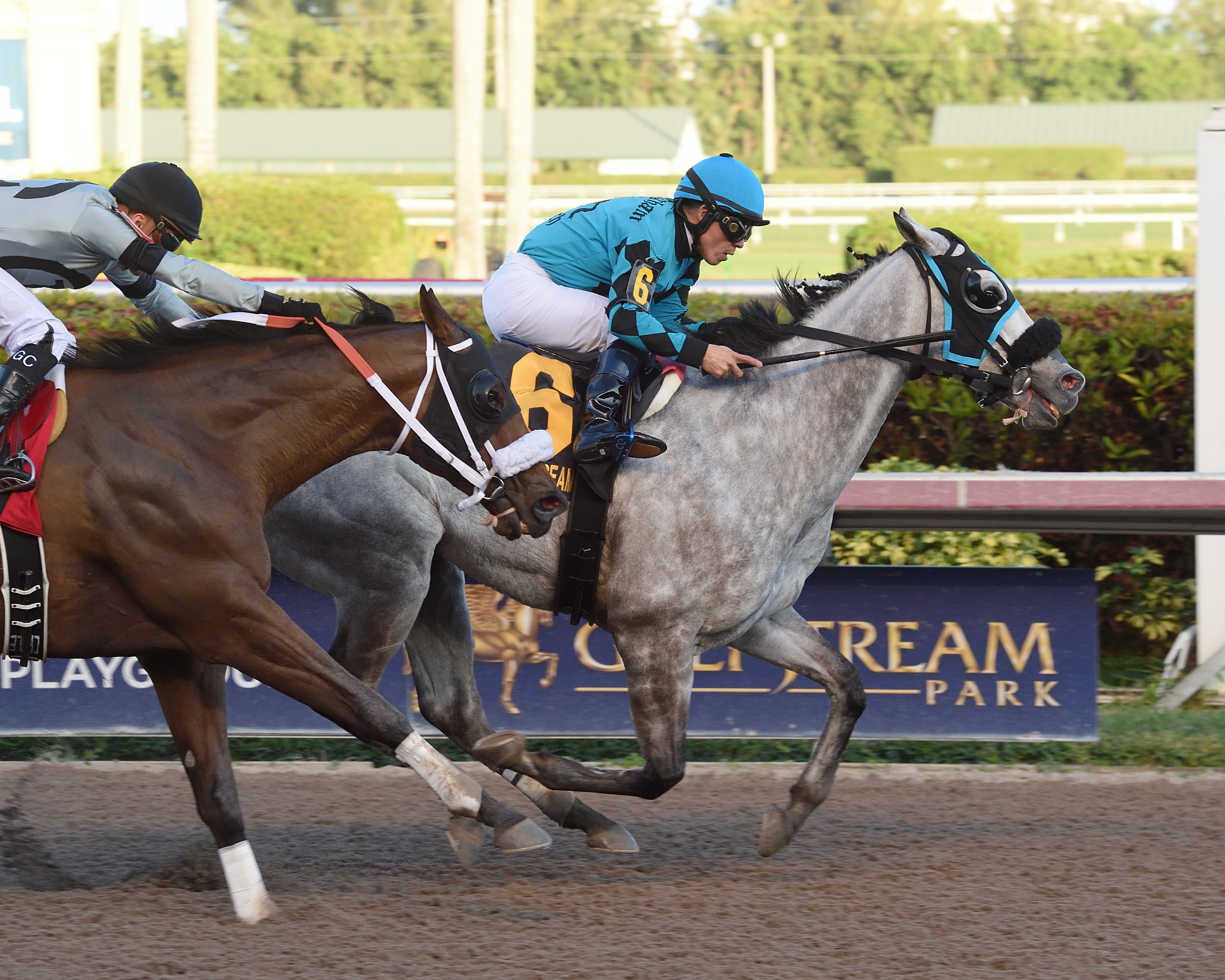 X Y Jet wins the 2017 Mr. Prospector
