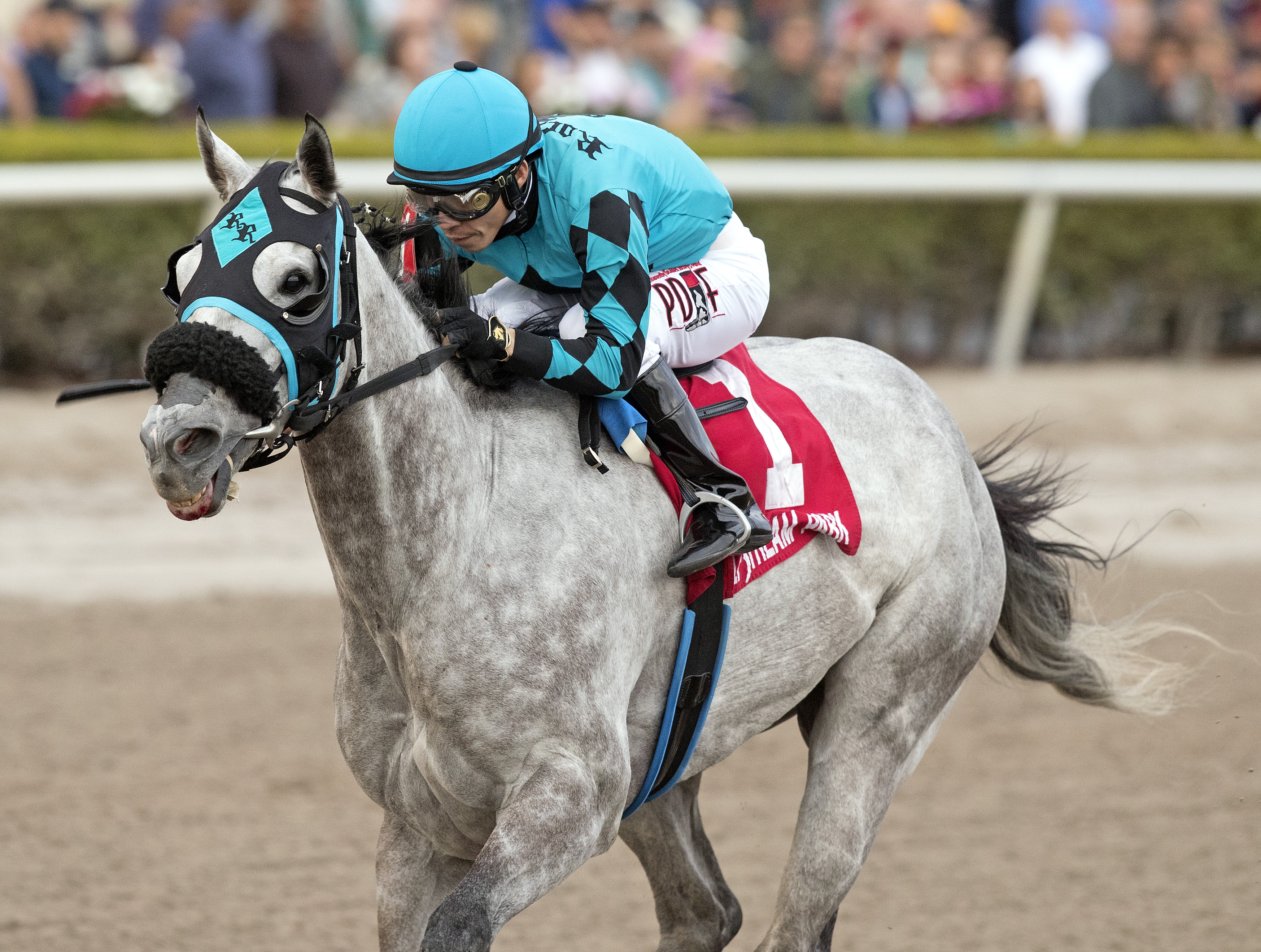 X Y Jet wins 2018 Sunshine Millions Sprint