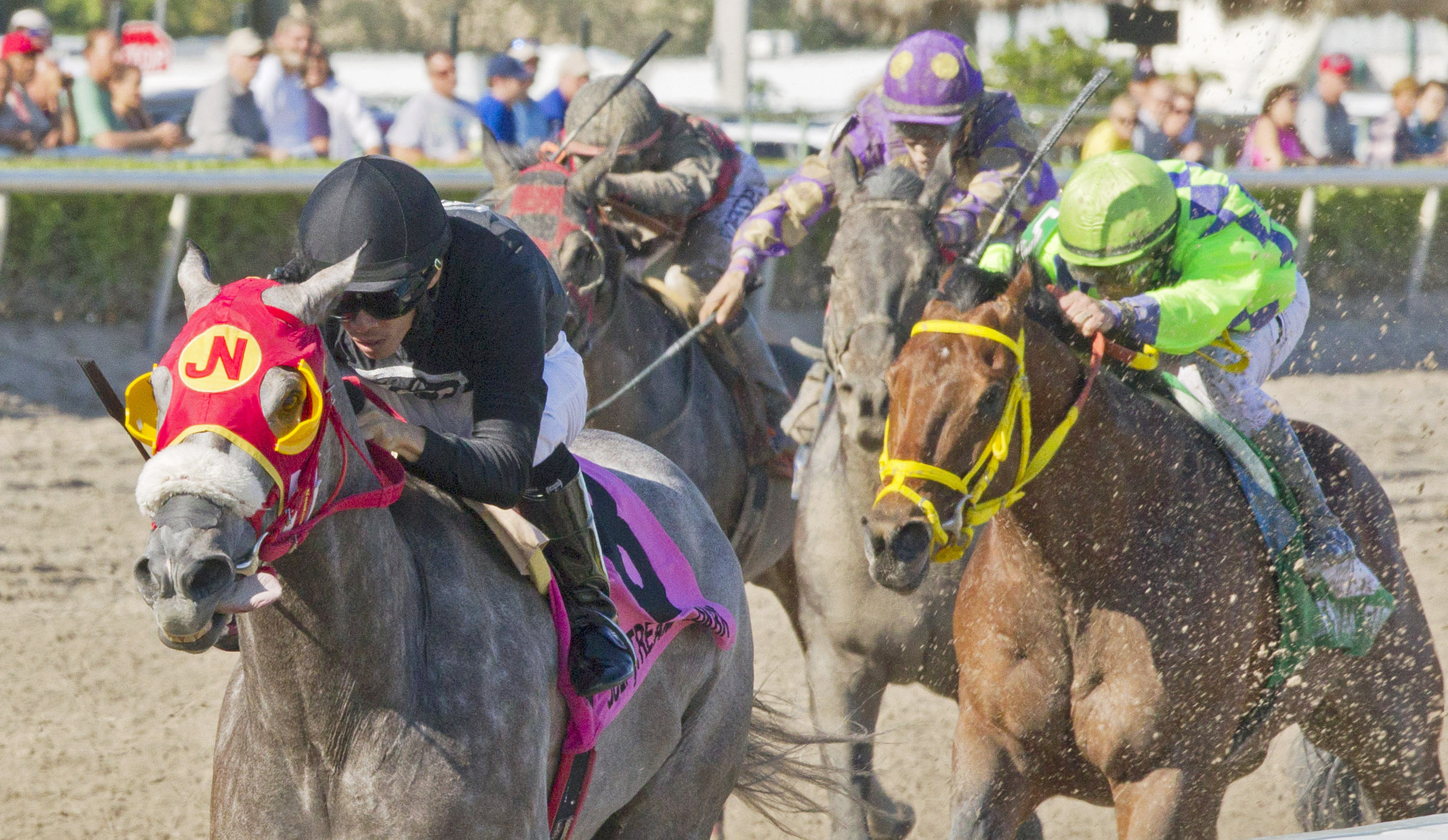 X Y Jet wins the Sunshine Millions Sprint Stakes