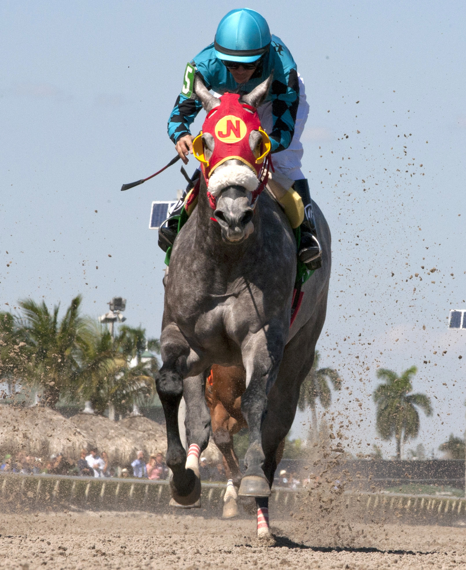 X Y Jet wins the Gulfstream Park Sprint Stakes