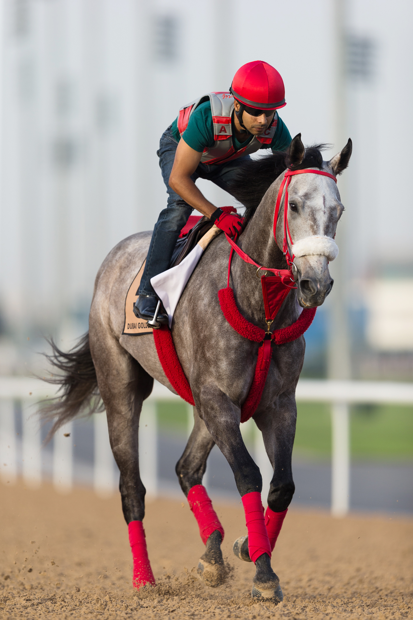 X Y Jet training at Dubai on March 23