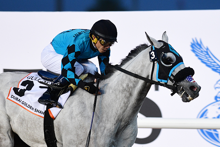 X Y Jet wins the 2019 Golden Shaheen