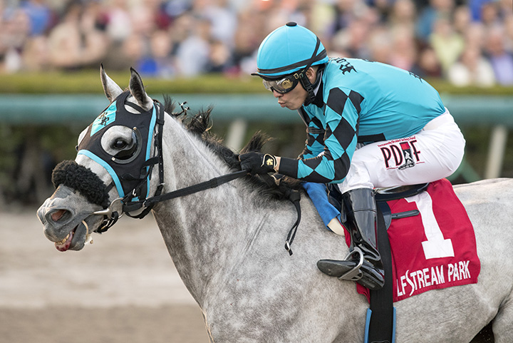 X Y Jet wins the 2018 Sunshine Millions Sprint