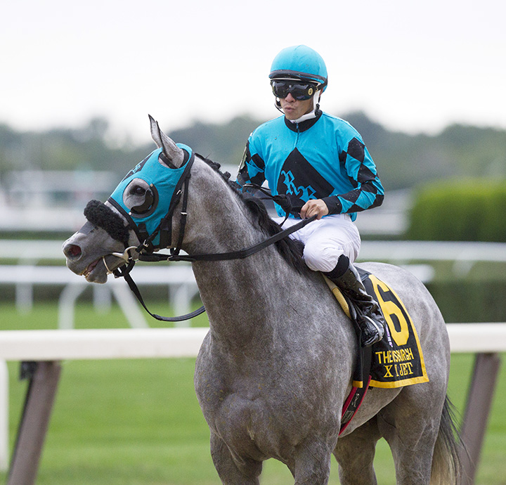 X Y Jet at the 2016 Vosburgh Stakes