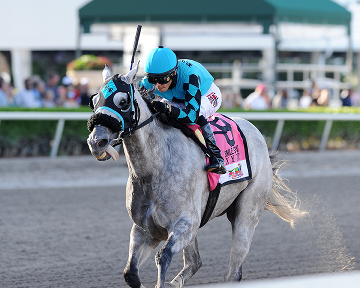X Y Jet wins the 2018 Smile Sprint Stakes