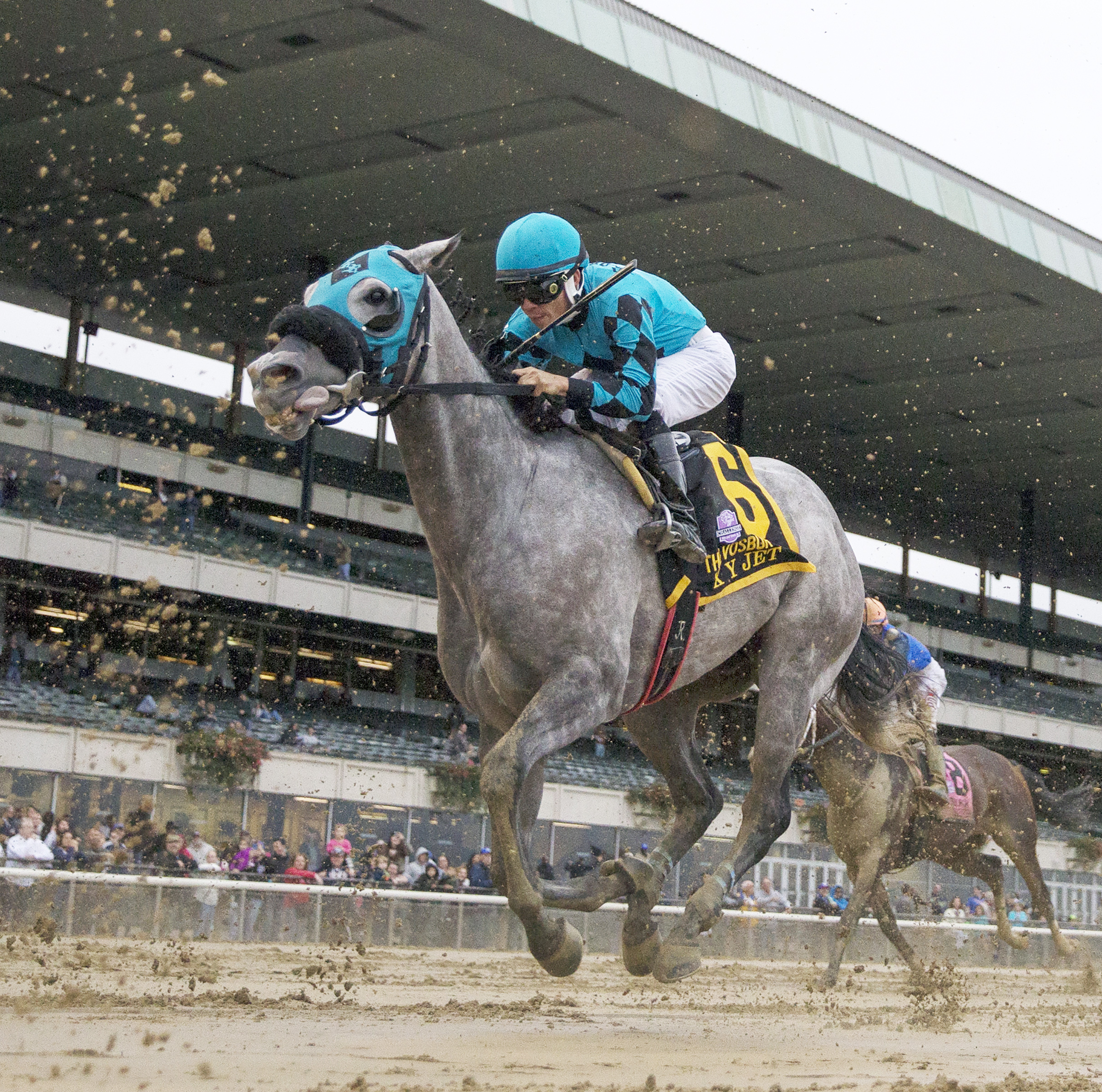 X Y Jet finishes fifth in the 2016 Vosburgh Stakes