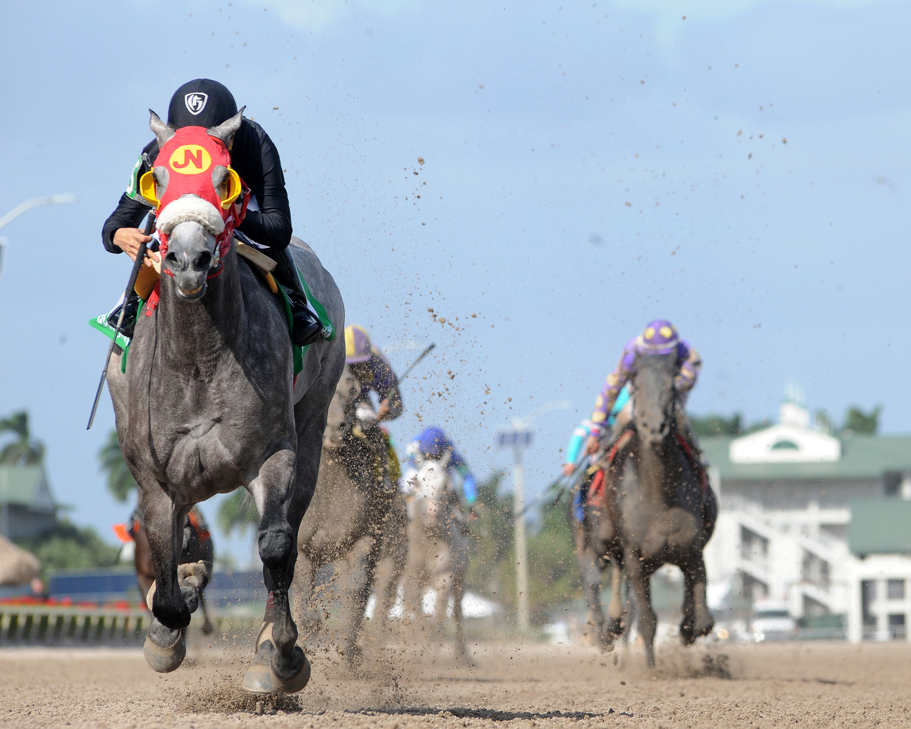 X Y Jet wins the Mr. Prospector