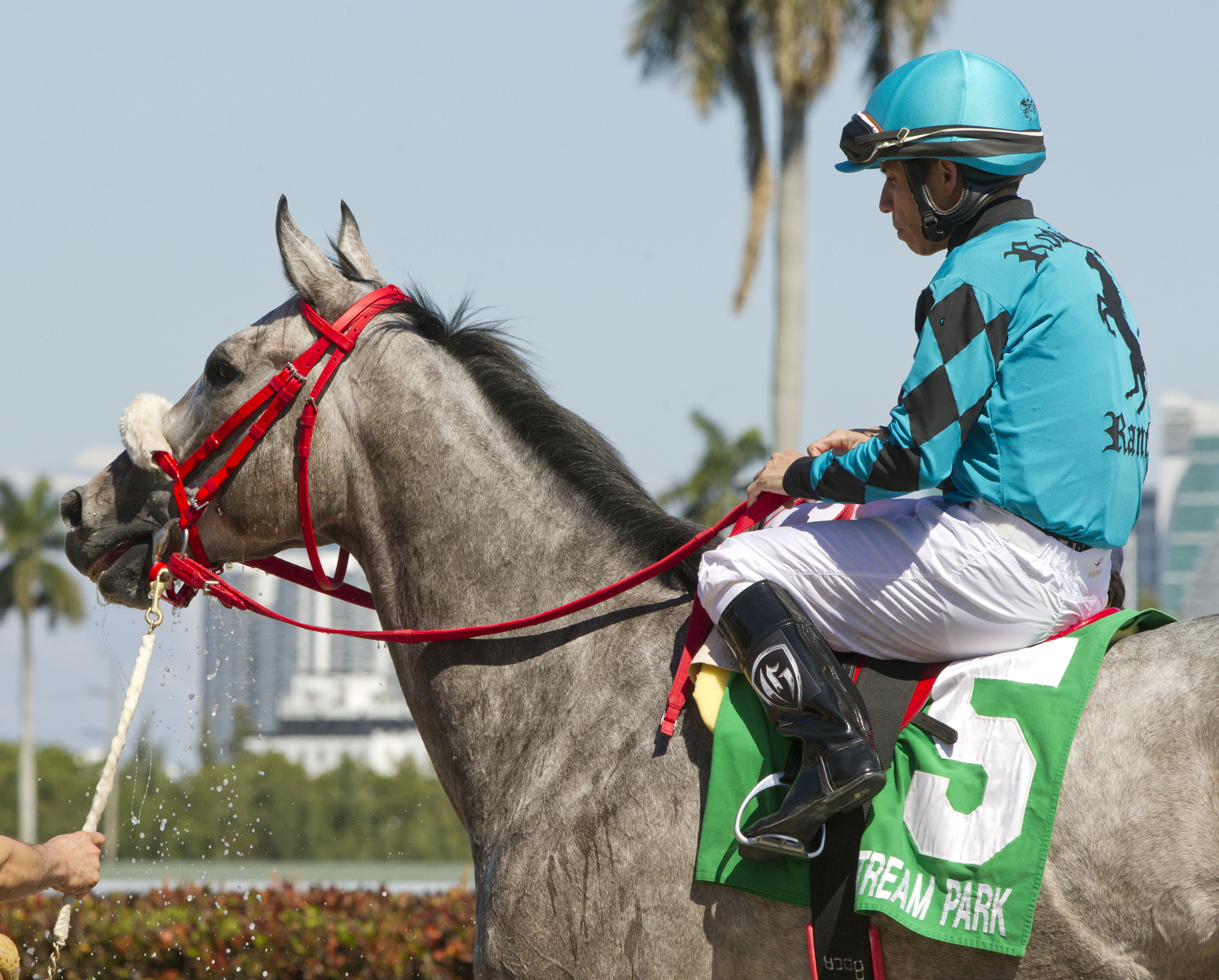 X Y Jet wins the Gulfstream Park Sprint Stakes