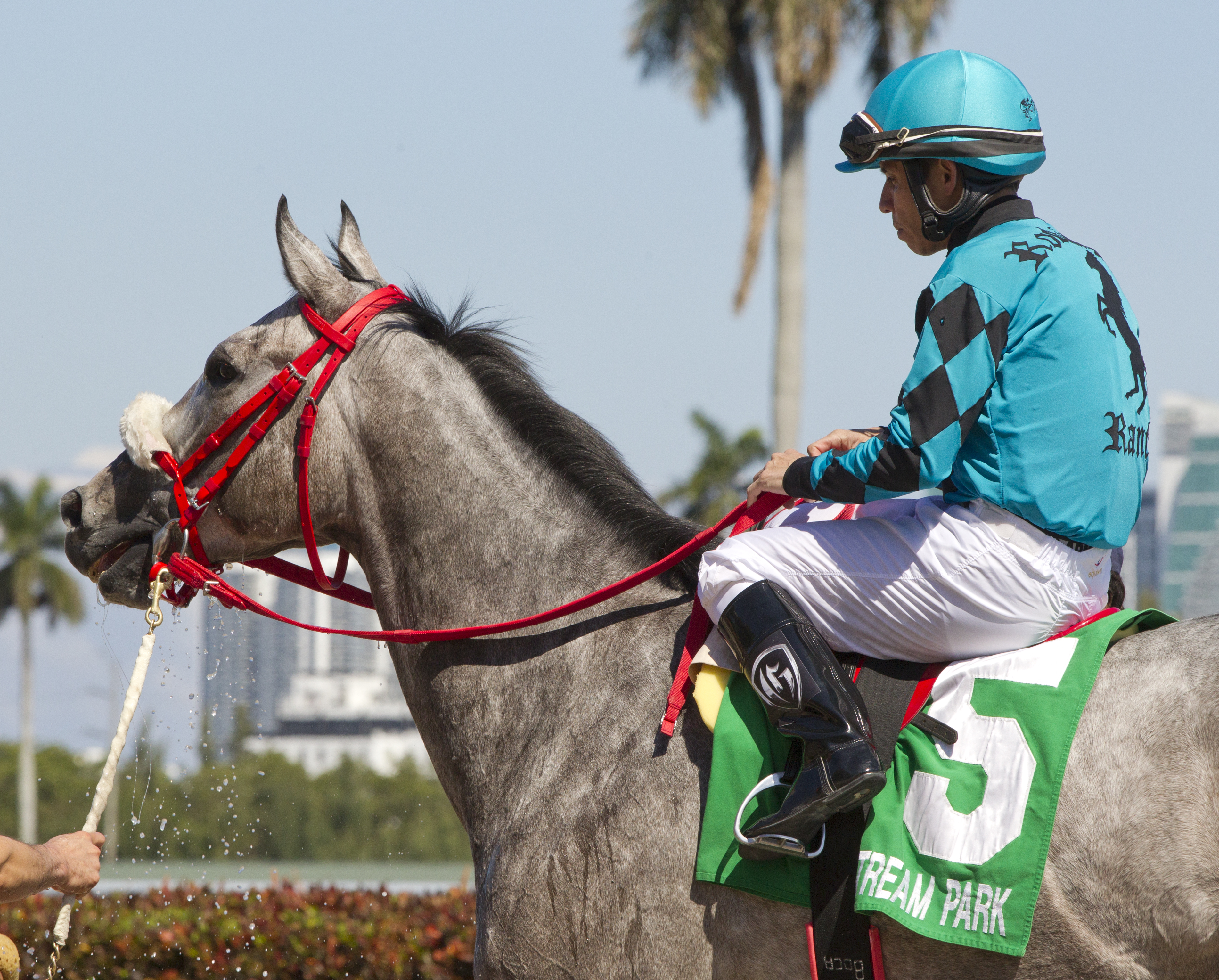X Y Jet at Gulfstream Park