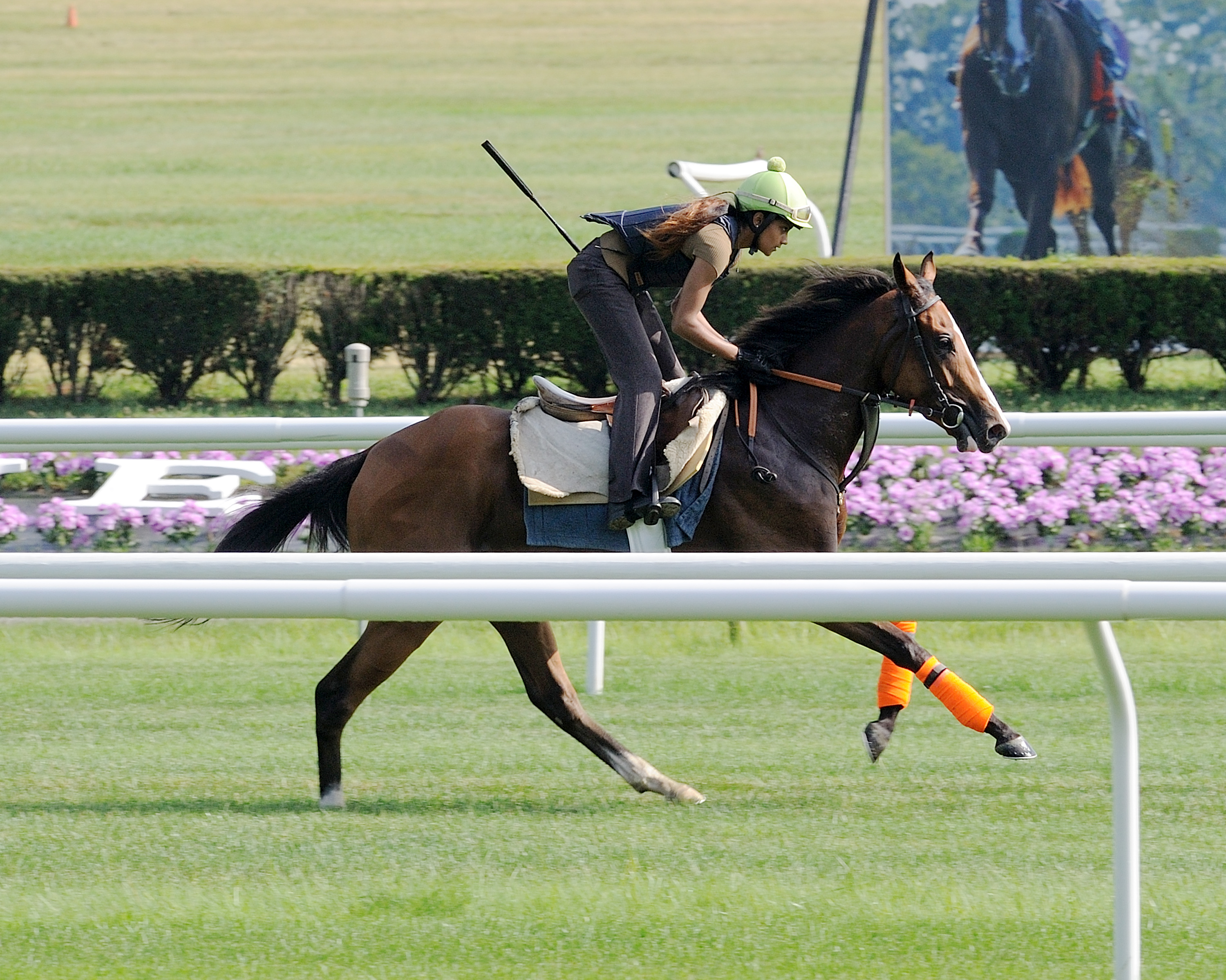 Xcellence trains at Belmont on July 3