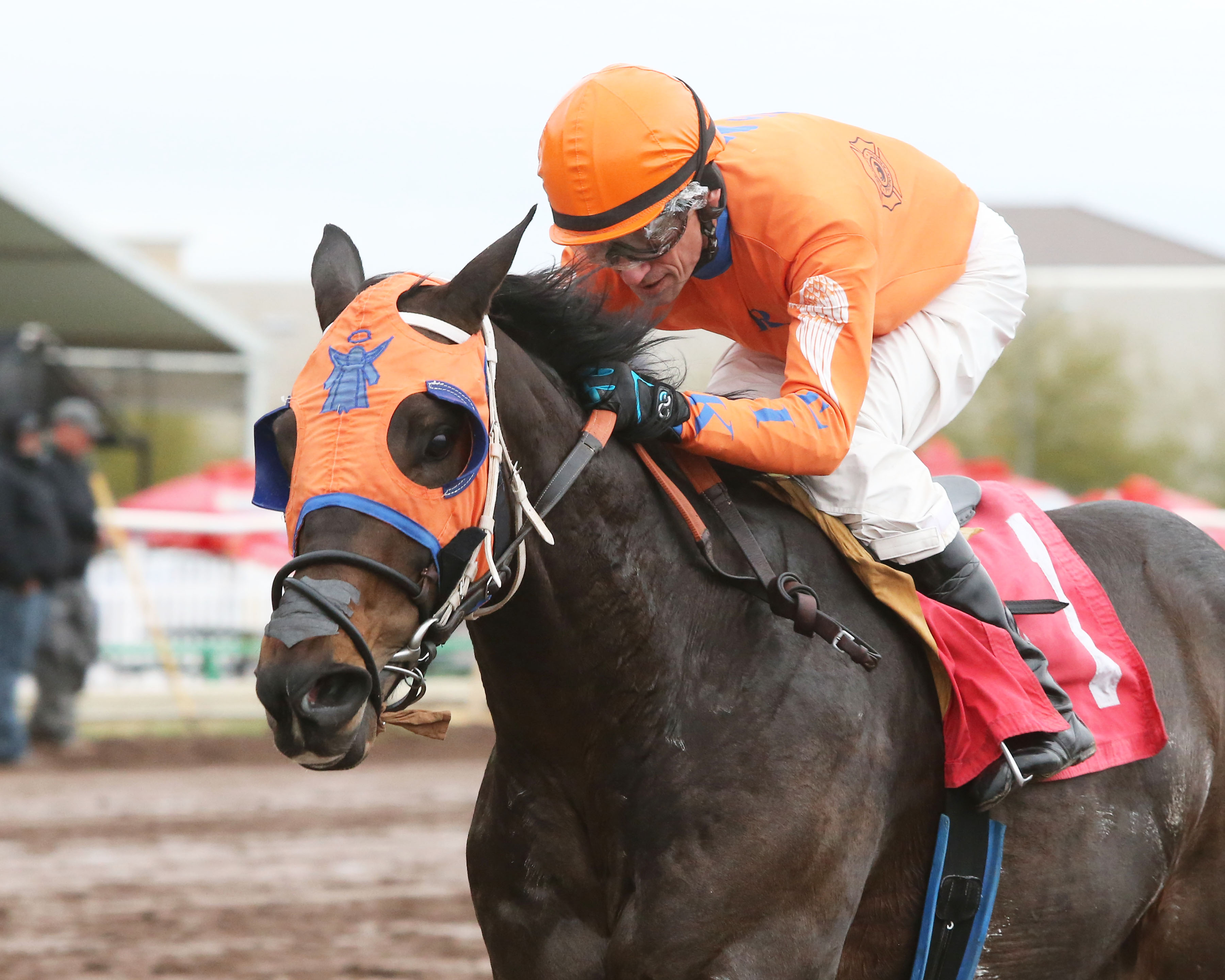 Yo Y Me wins 2018 ATBA Fall Stakes