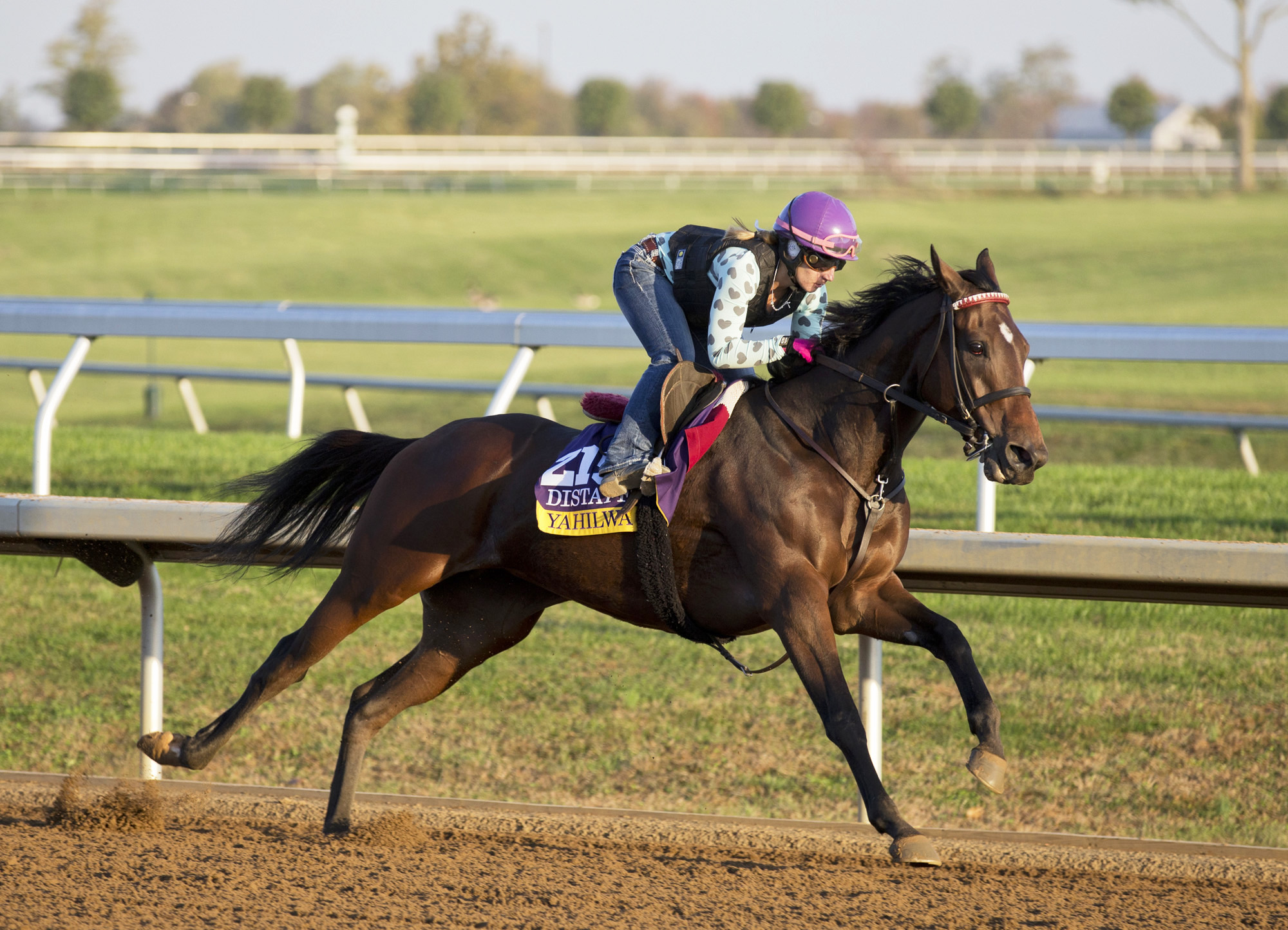 Yahilwa trains at Keeneland on Oct. 22