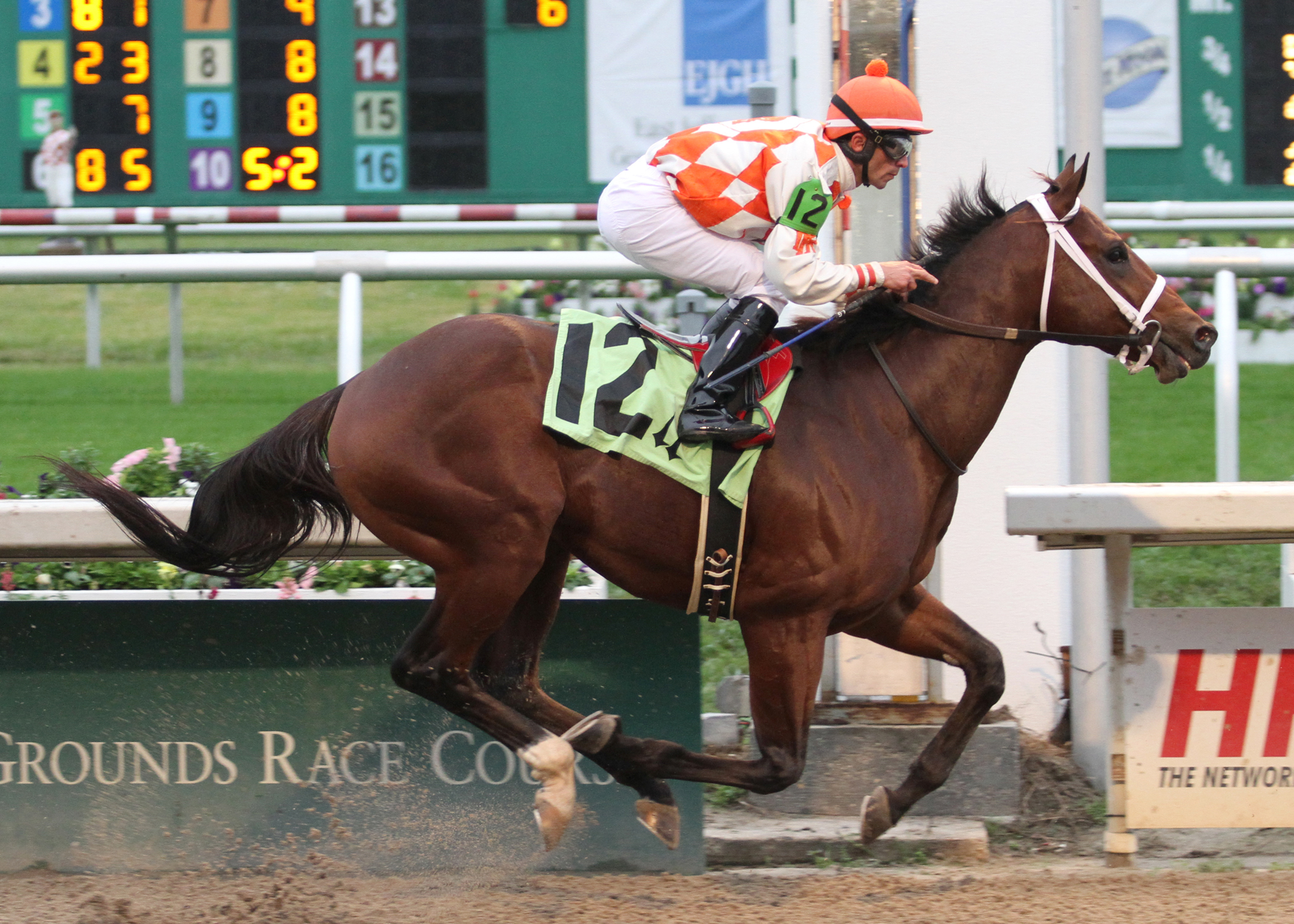 Yankee Hunter wins a maiden race