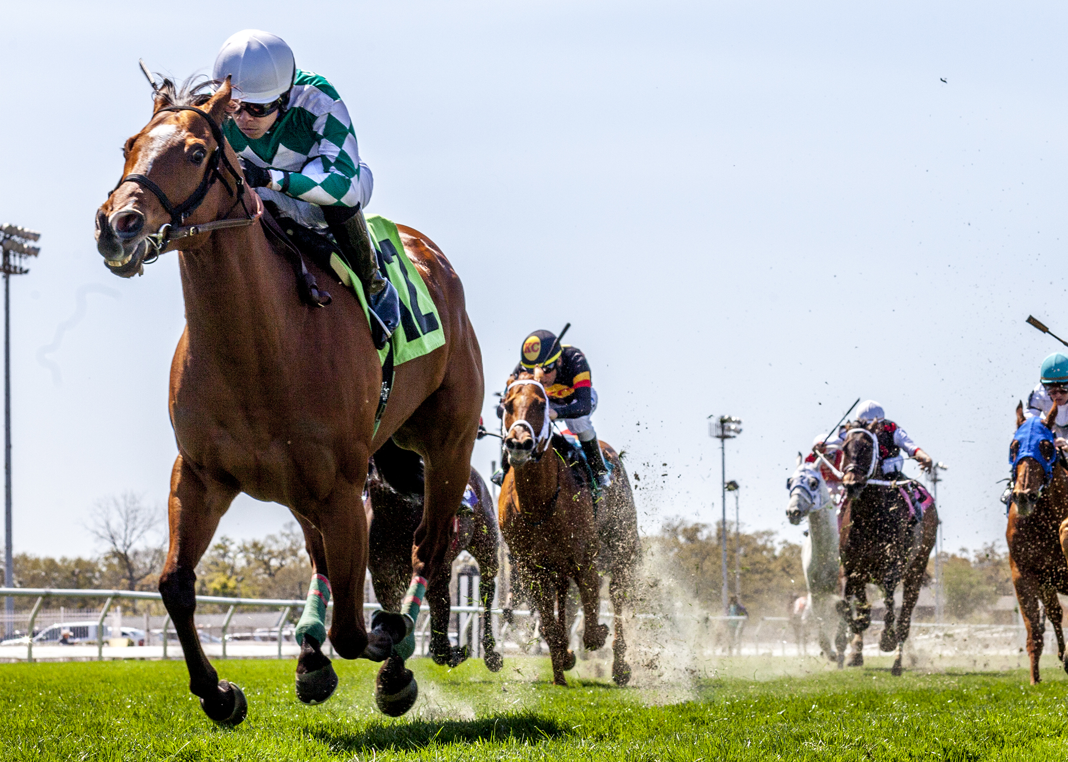 Yankee Seven wins Costa Rising 3-26-2022